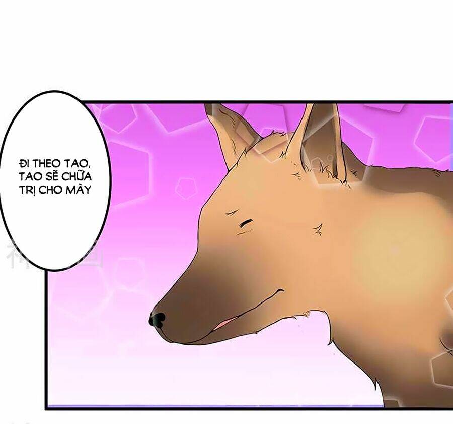 gối đầu vào tổng tài ác ma chapter 17 16