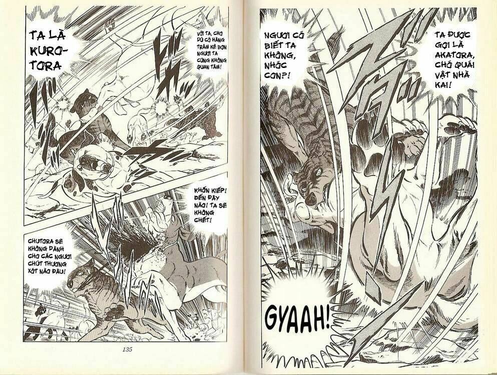 chú chó có nghĩa - ginga nagareboshi gin chapter 16 15