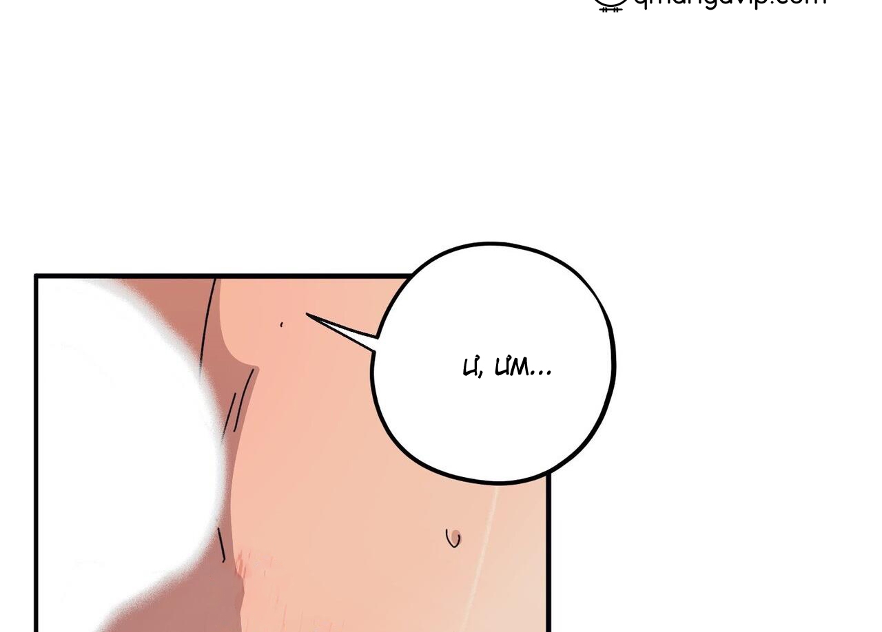 chàng dâu nhà họ kang chapter 44 145