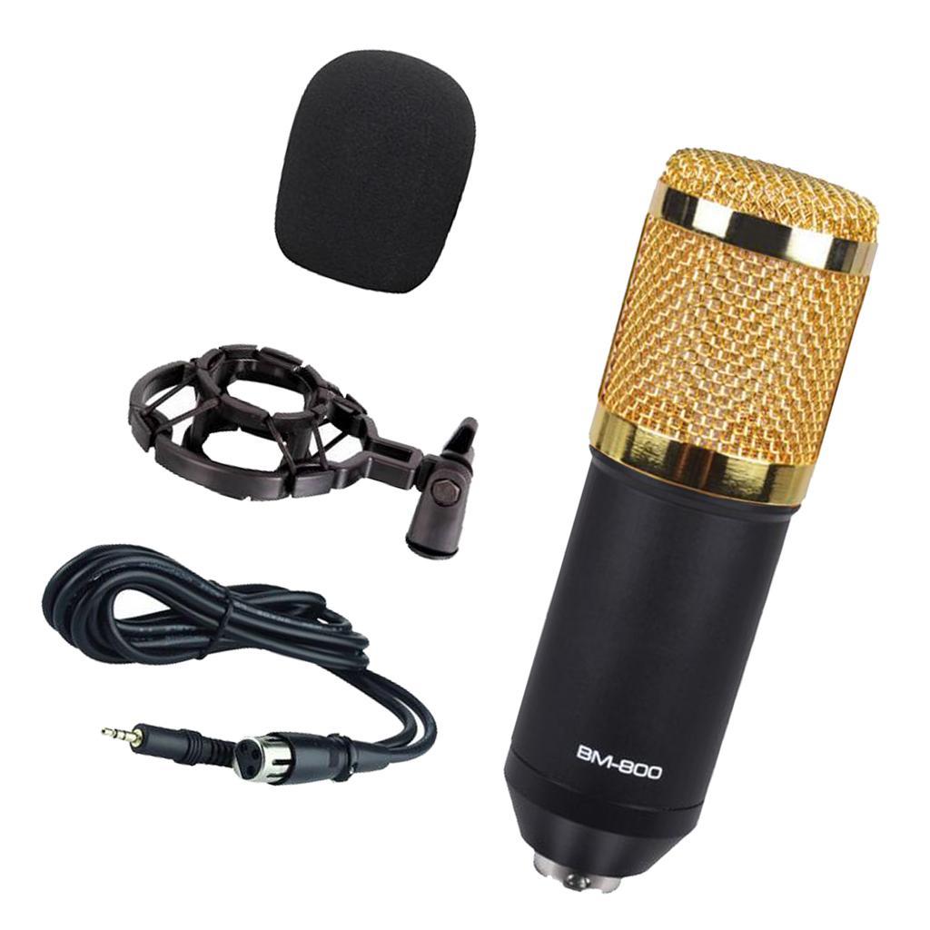 Cute Karaoke Microphone for Singing for Karaoke Singing Audio Studio Recording