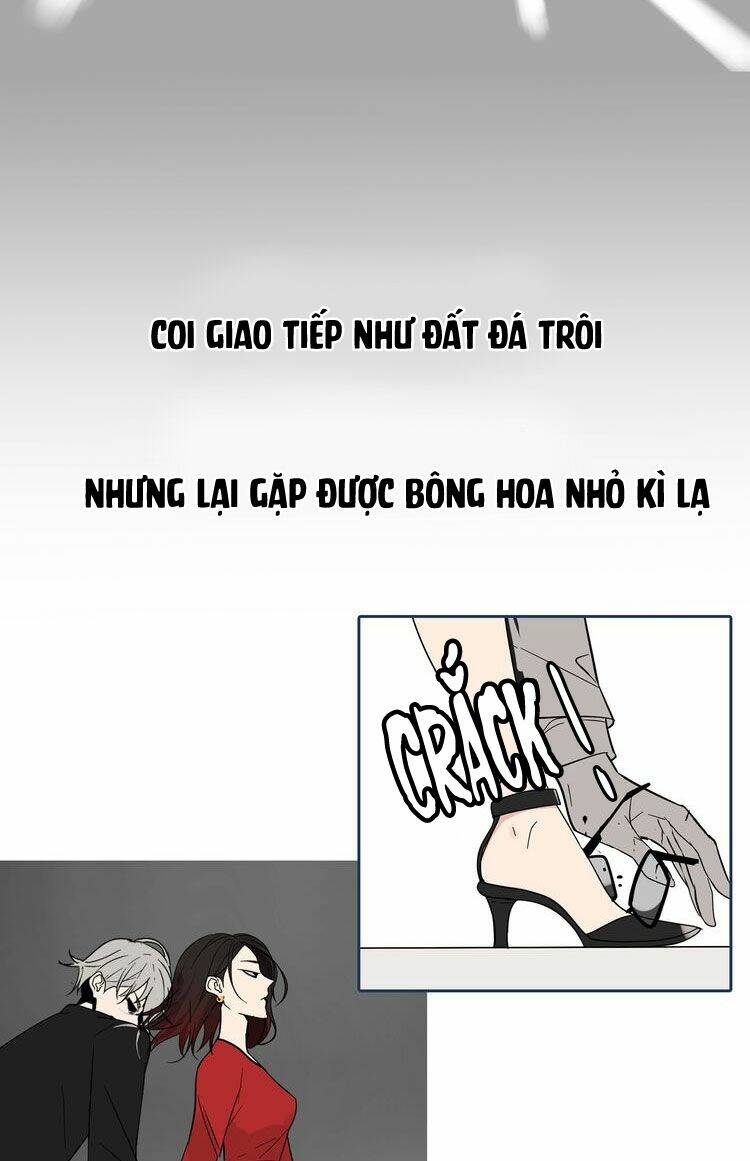 lời nói dối của loài sói chapter 1 14