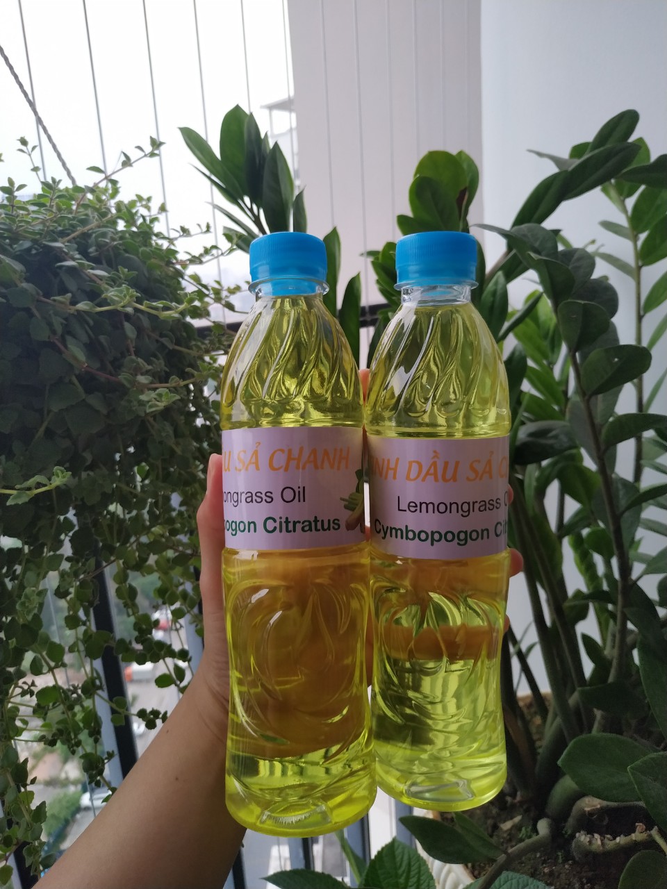 Tinh dầu sả chanh lau nhà, chai 500ml