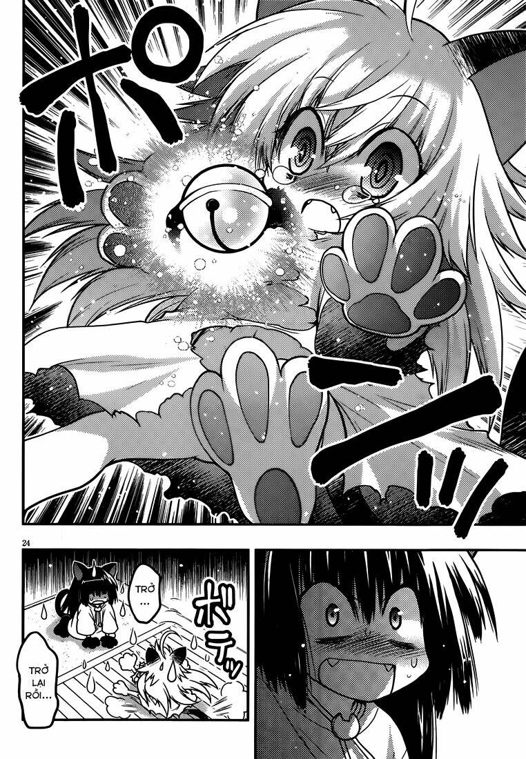 tamanyan chapter 5 25