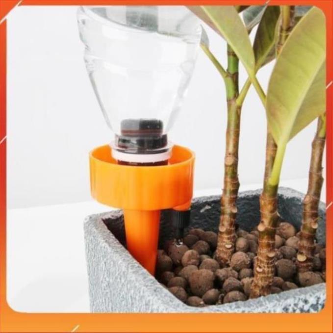 Set 12 que cắm tưới cây nhỏ giọt 206801