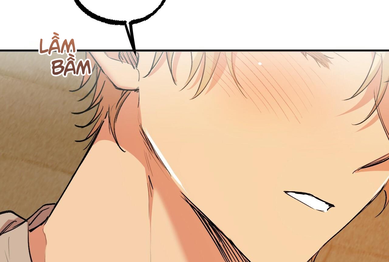 đàn thỏ của habibi chapter 32 207