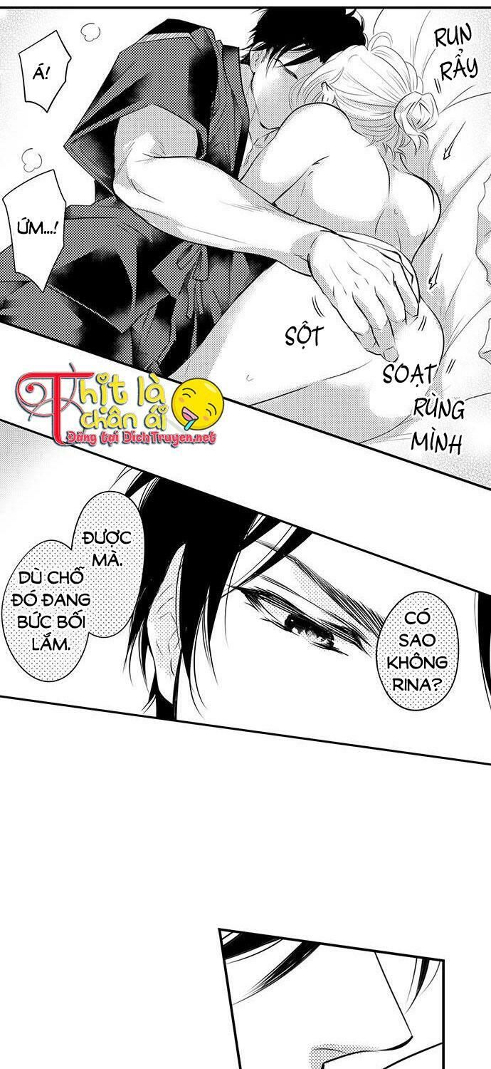 trêu ghẹo "gấu" nhà tôi! chapter 17 17