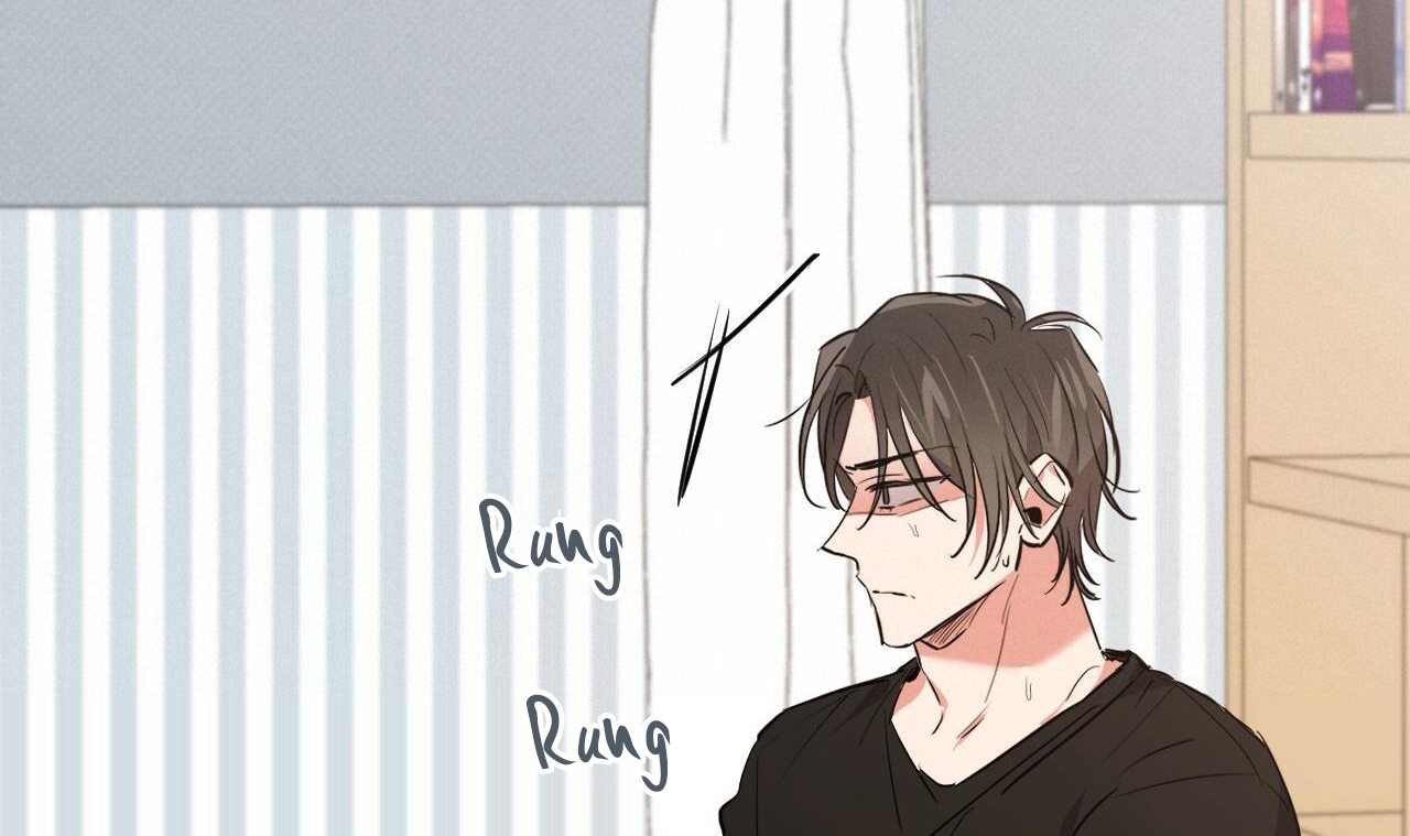 những chú thỏ của hapypy chapter 51 286