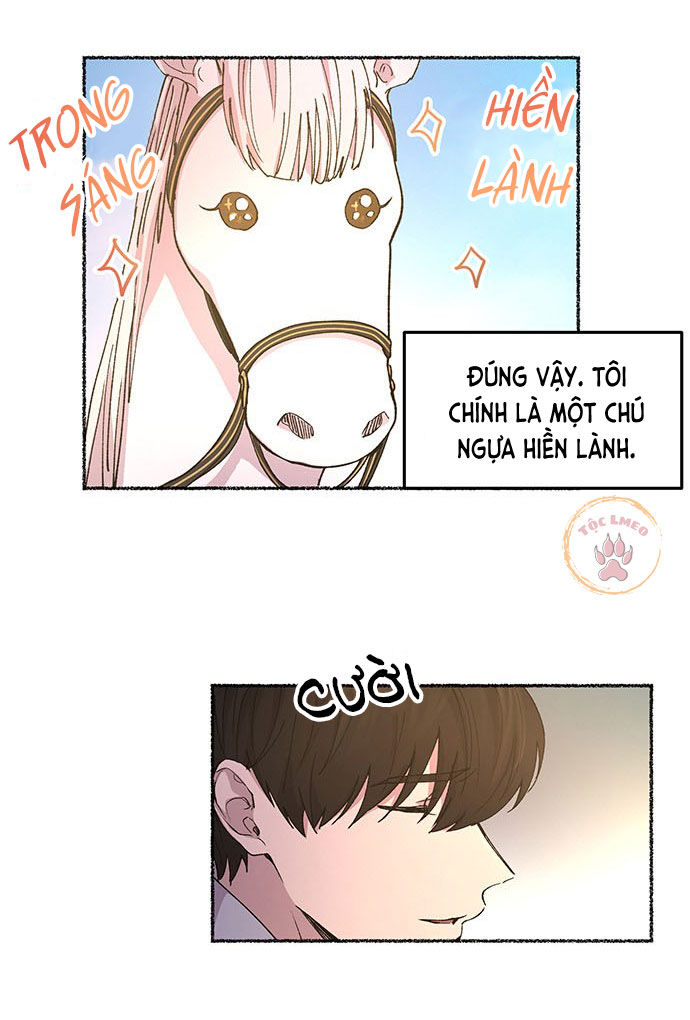 như gió trên cành cây khô chapter 49 77