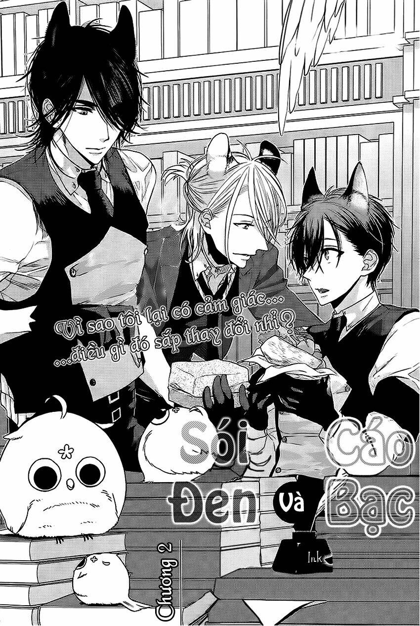 sói đen và cáo bạc chapter 2 3