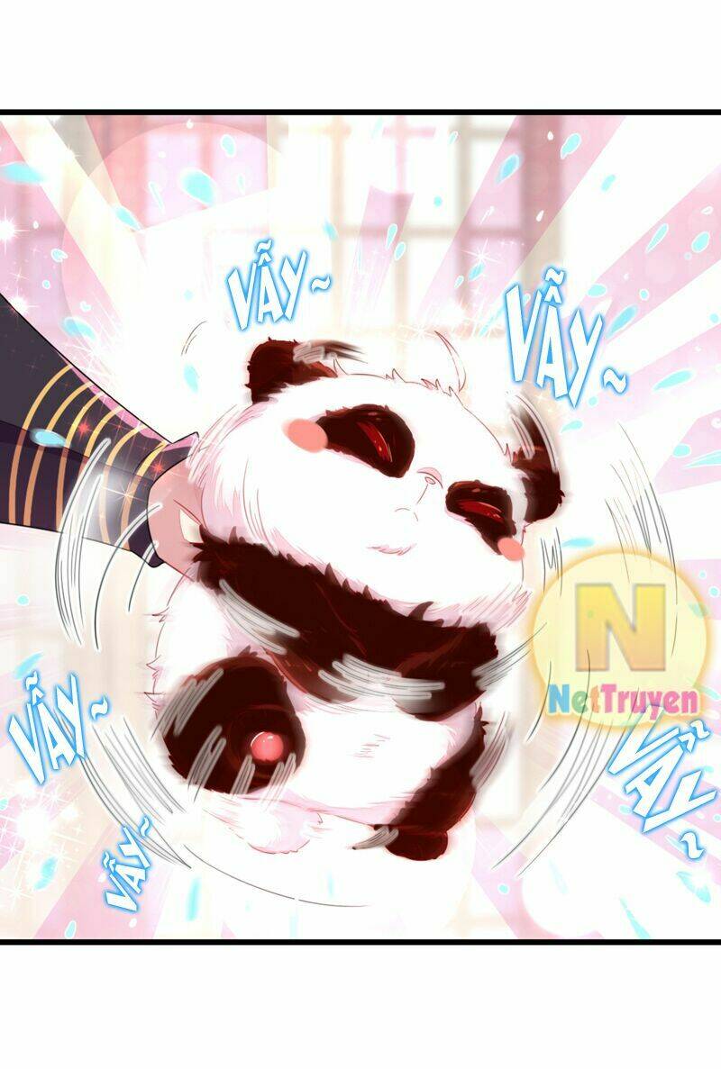 thiên thần gấu trúc muốn được ôm chapter 13 23