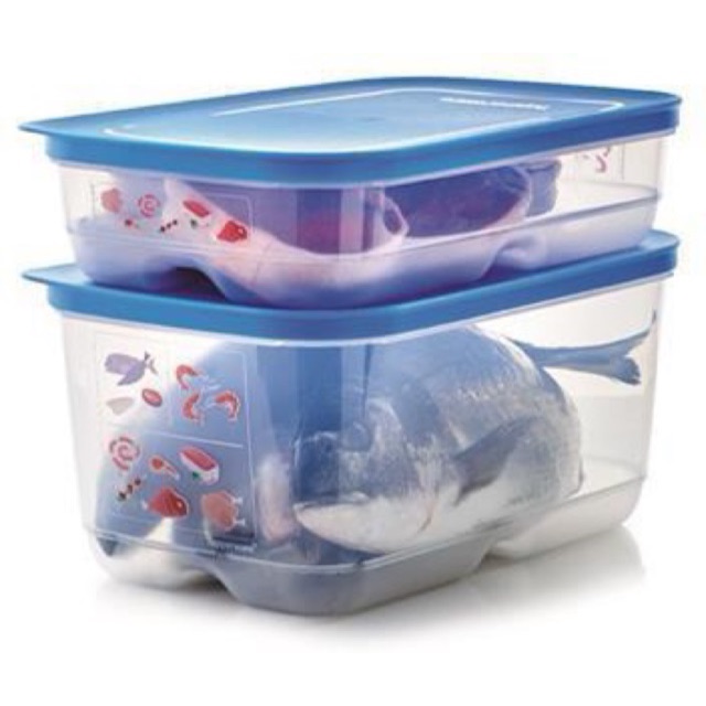 Bộ Hộp Trữ Mát COOLMATE TUPPERWARE Set 2, Hộp BQTP, Trữ Mát, Kín Mùi, Kín Khí