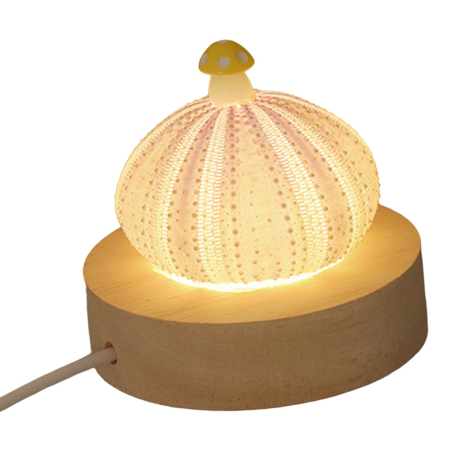 Decorative Table Lights Shell with LED Function Birthday Gift Mini Table Lamp