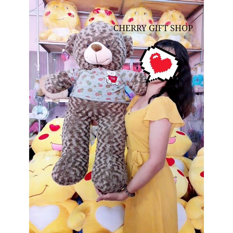 Gấu Teddy 1m1 Nâu Choco Lông Xoắn Đáng Yêu