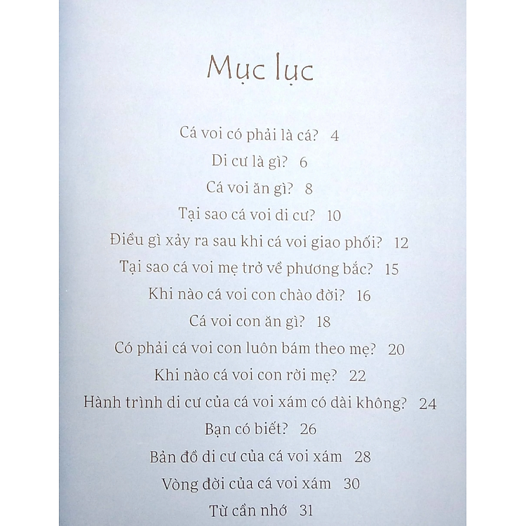 Sách Lâu Đài Khoa Học Của Em