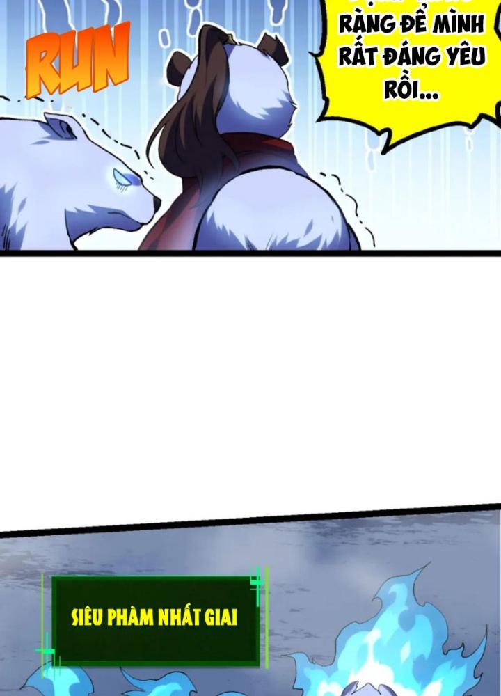 từ cây cổ thụ bắt đầu tiến hóa chapter 98 100