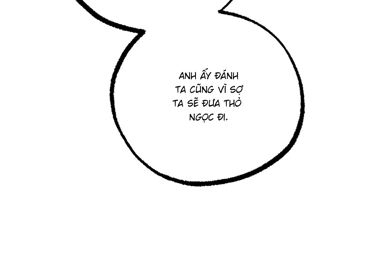 những chú thỏ của hapypy chapter 60 163