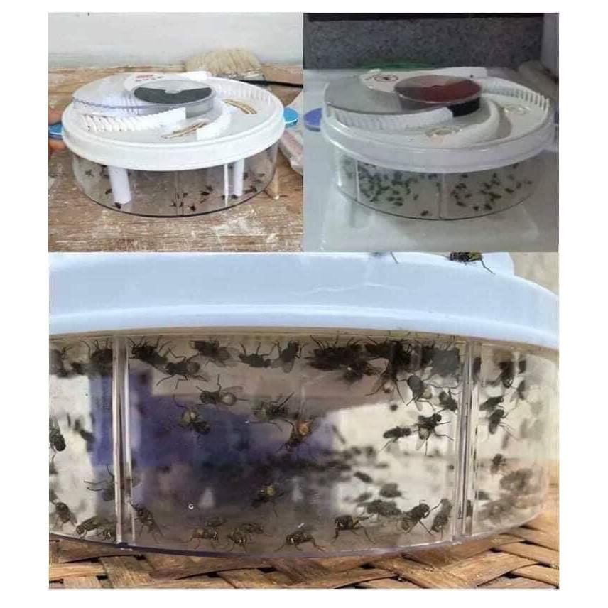 Free ship MÁY BẮT RUỒI TỰ ĐỘNG 2020 CHẠY ĐIỆN