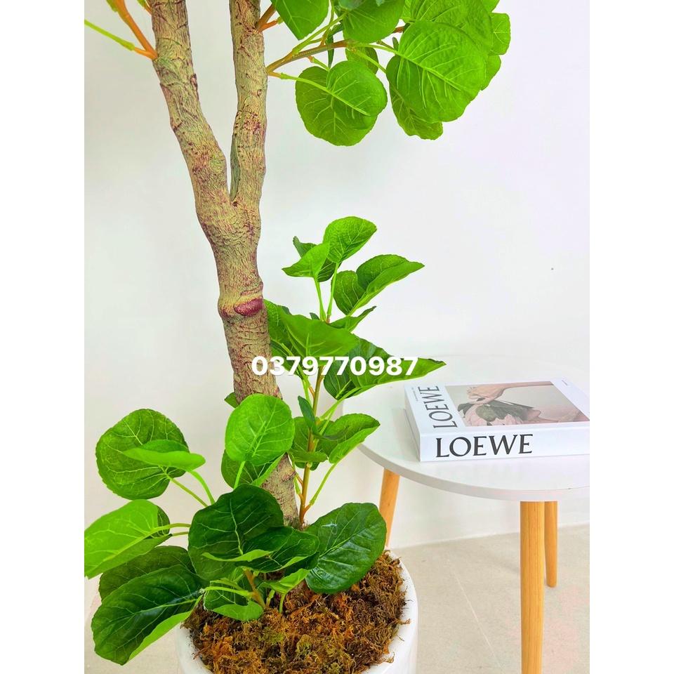 CÂY LÁ TÁO TRÒN GIẢ CAO 160CM, HÀNG LOẠI 1