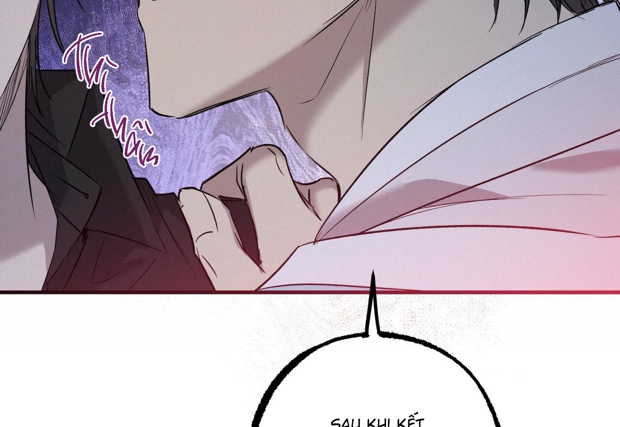 đàn thỏ của habibi chapter 59 260