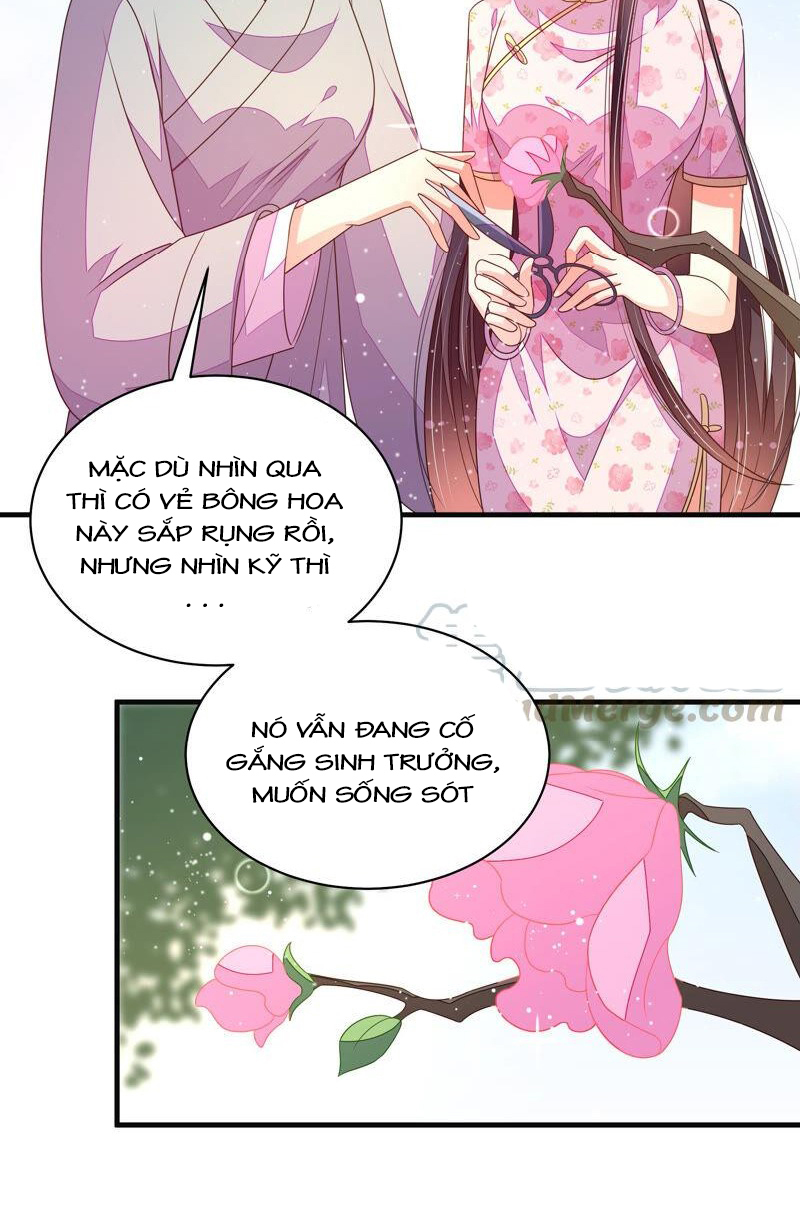 ngày nào thiếu soái cũng ghen chapter 343 18