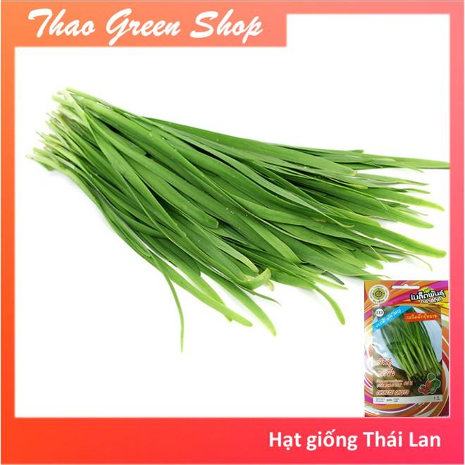 Hạt giống hẹ ăn lá Thái Lan 280 hạt