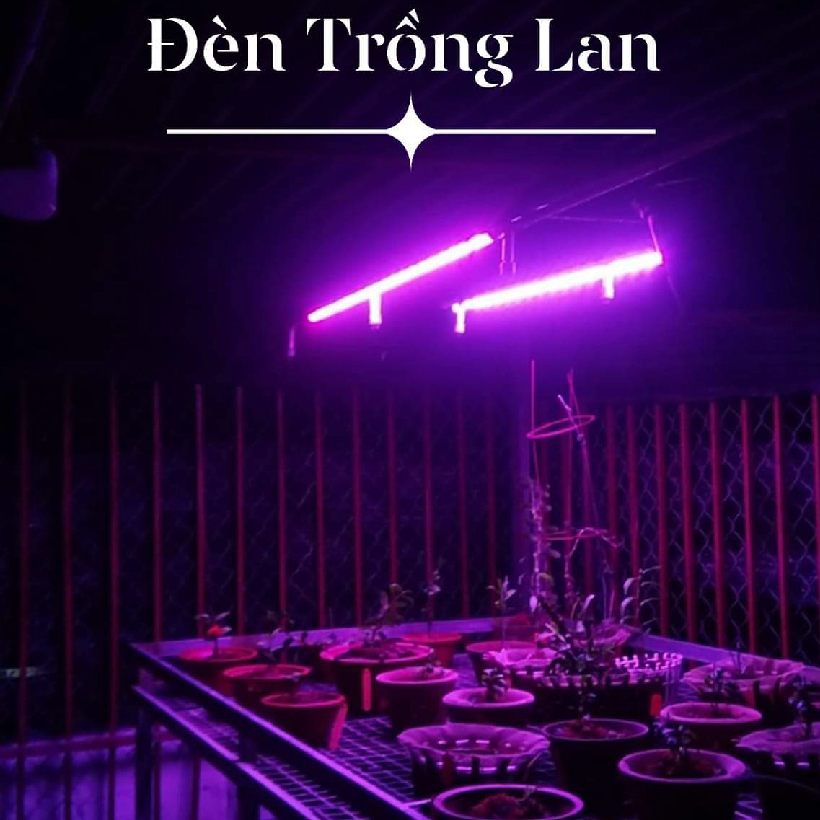 Đèn Trồng Cây Hoa Lan trong nhà LED Smart Light giúp bổ sung ánh sáng để cây hoa lan phát triển tốt và ra chồi nhanh (Dài 1.2m/Bộ)