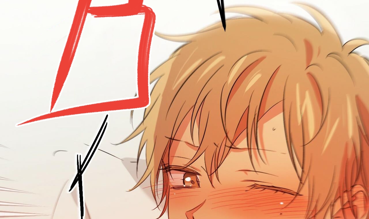 những chú thỏ của hapypy chapter 53 251