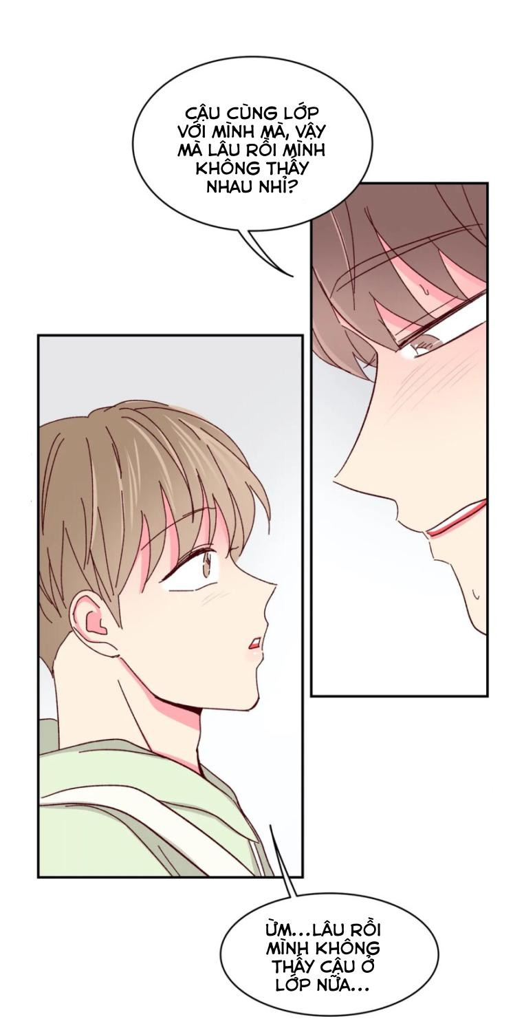 món tráng miệng của sếp tổng chapter 54 30