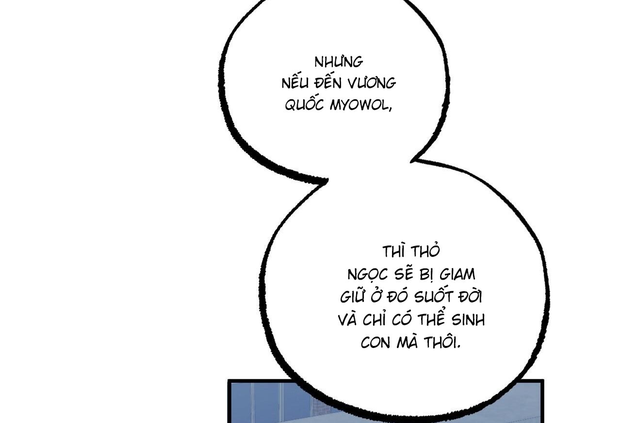 những chú thỏ của hapypy chapter 61 78