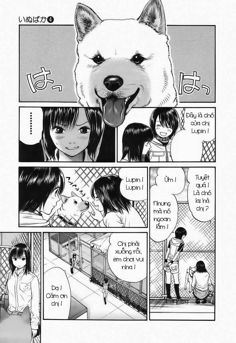 cô nàng yêu chó chapter 41 13