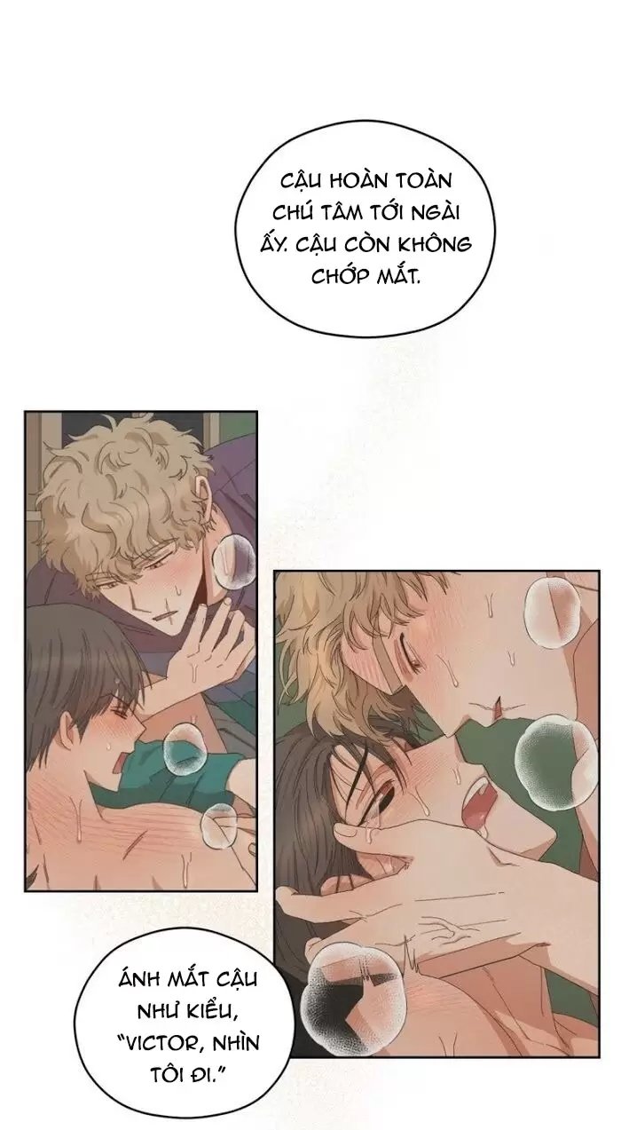 liveta chapter 16 66