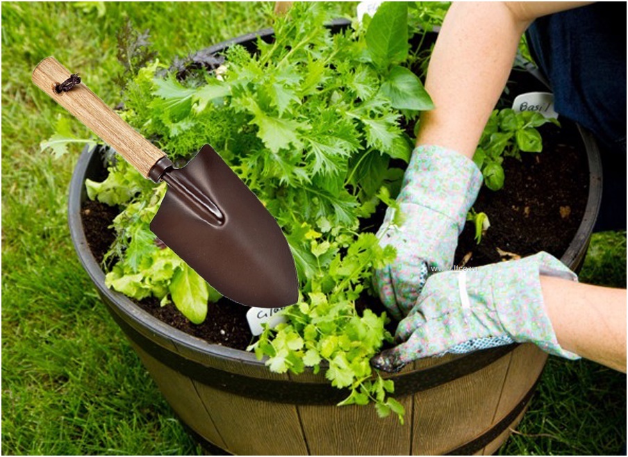 Xẻng thép cán gỗ làm vườn tiện ích hàng nội địa Nhật Bản
