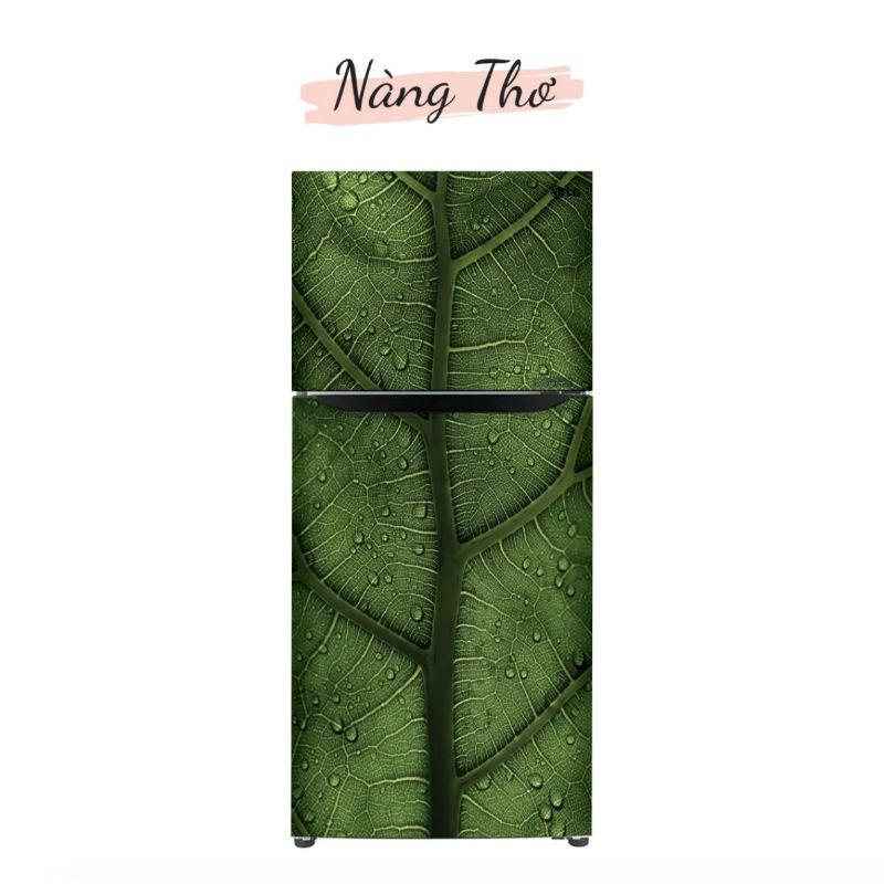 Decal tủ lạnh