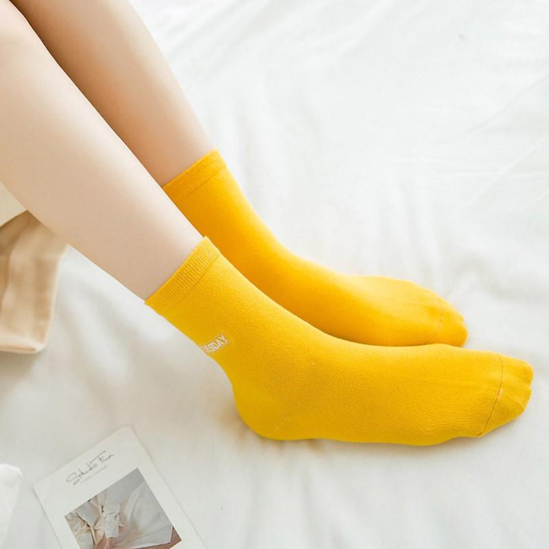 Set tất tuần nữ cổ cao Hàn Quốc