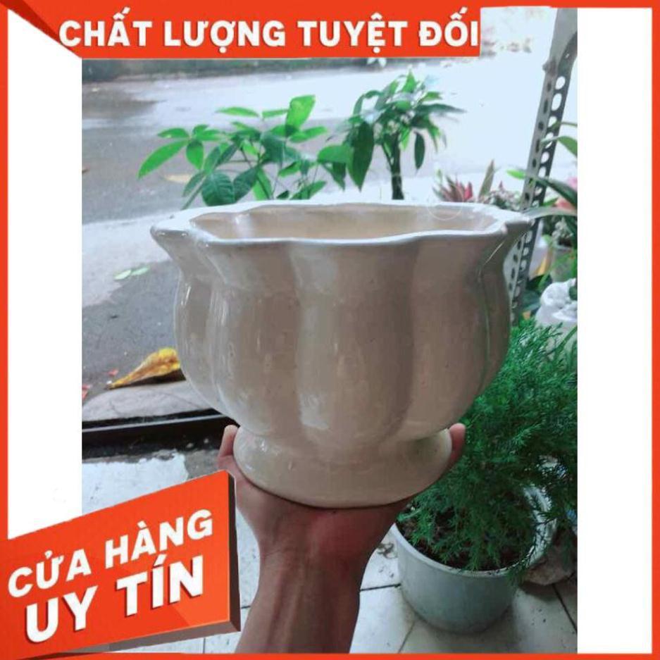 Chậu Trồng Cây Nhiều Người Mua