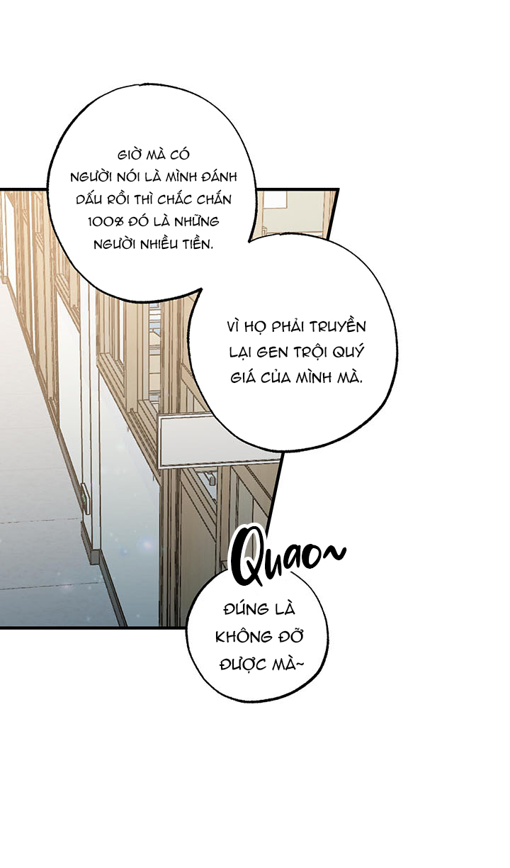 vì sao sa vào vũ trụ chapter 4 6