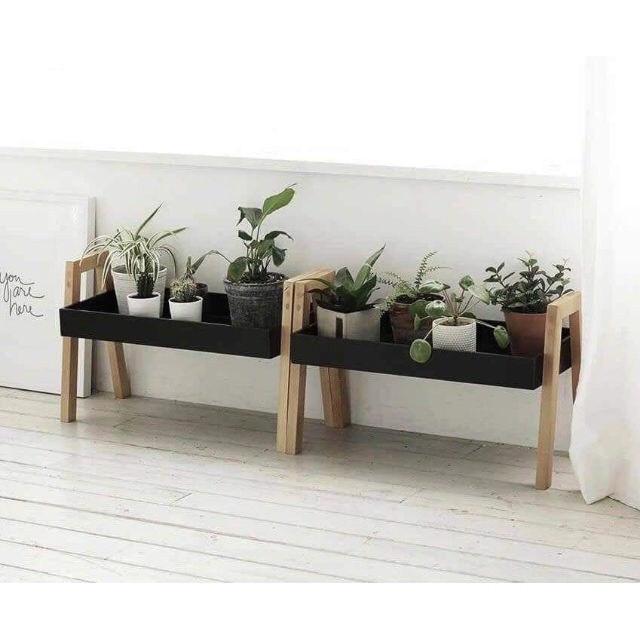 Khay gỗ xếp tầng nhiều màu sắc - Kệ đa năng bằng gỗ thông