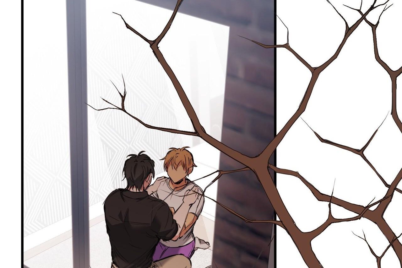 những chú thỏ của hapypy chapter 61 51