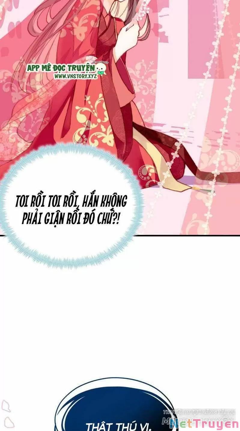 lại bị bệnh chiều chuộng quấn lấy chapter 2 16