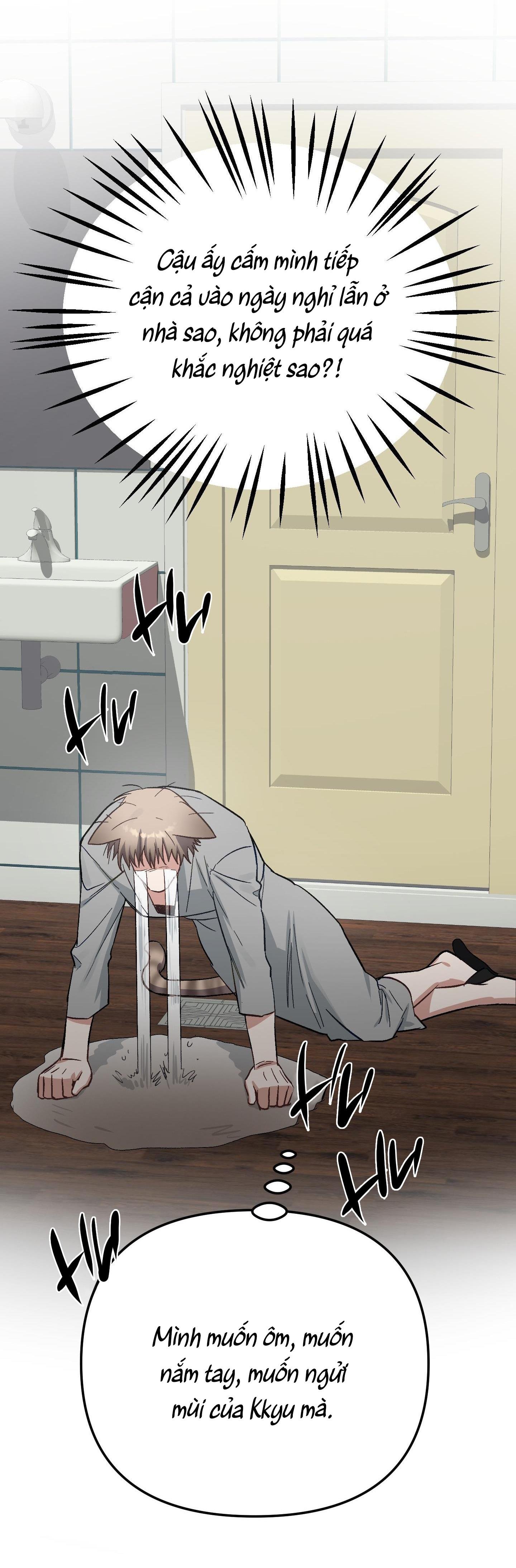 thỏ xuất tinh trong 3 giây chapter 11 24