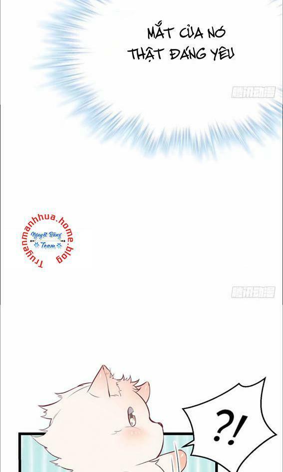 [16+] thảnh thơi thú thế chủng chủng điền, sinh sinh tể chapter 74 9