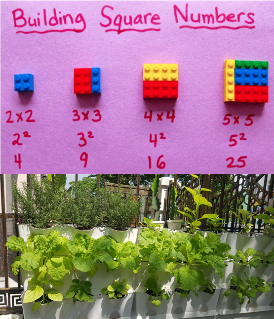Khung Module Rau Ban Công dạng Đứng VerticalMinigarden nhập khẩu Bồ Đào Nha với 8 chậu kèm 2 Tray hứng nước và bộ dây tưới nhỏ giọt lắp sẵn