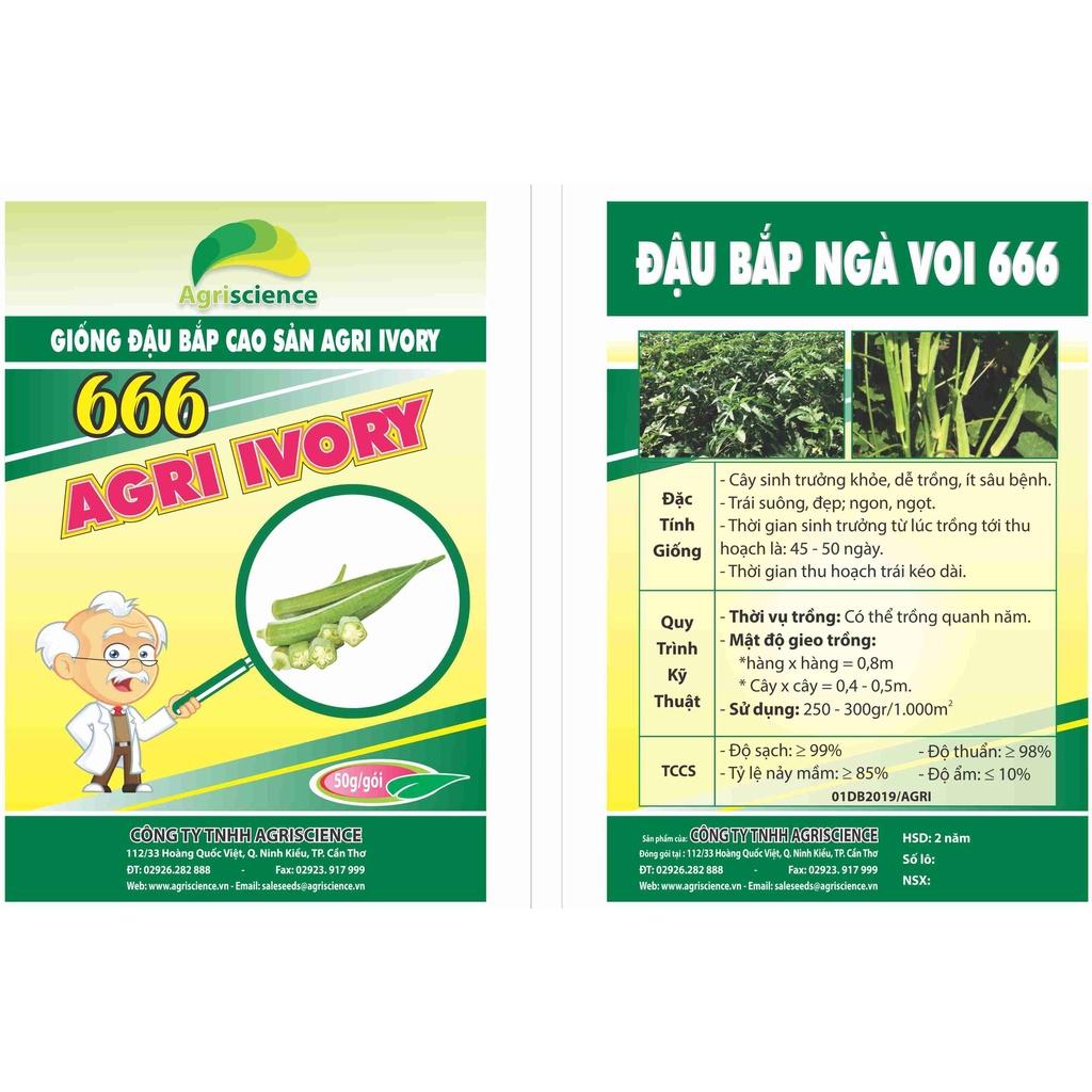 Giống Đậu bắp cao sản Ngà voi - Agri Ivory 666
