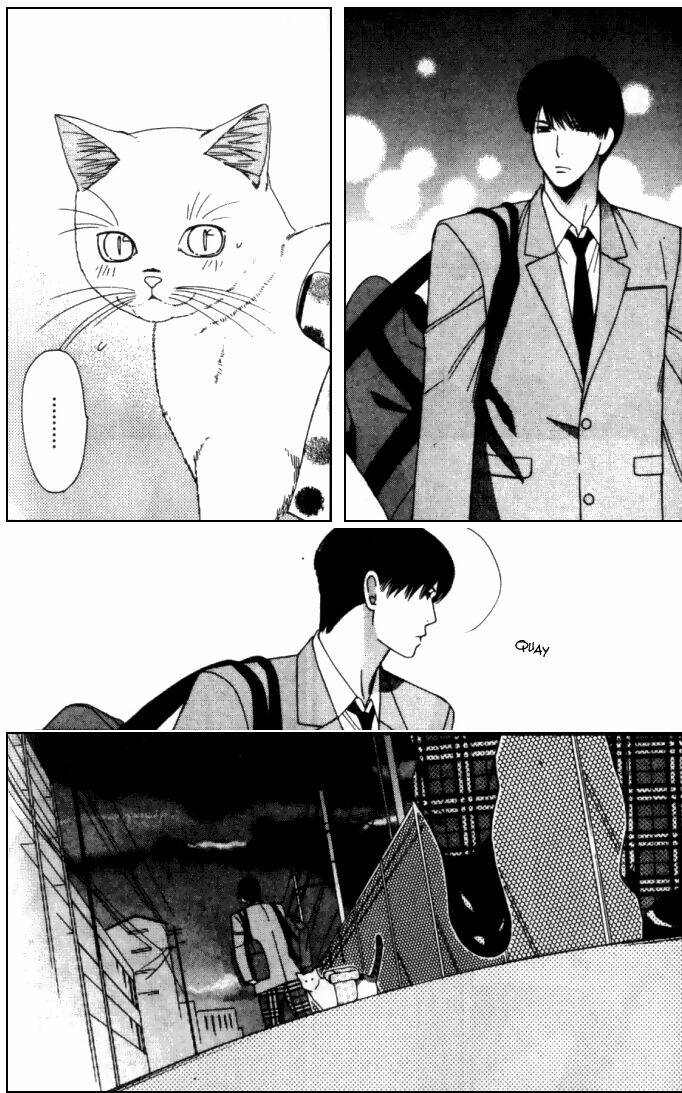 neko neko honey chapter 6 30