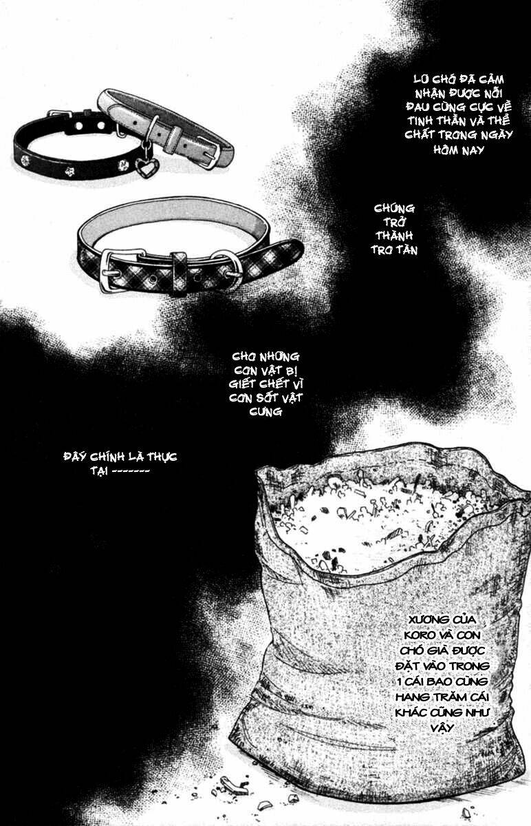 deep love - pao no monogatari chapter 5 31