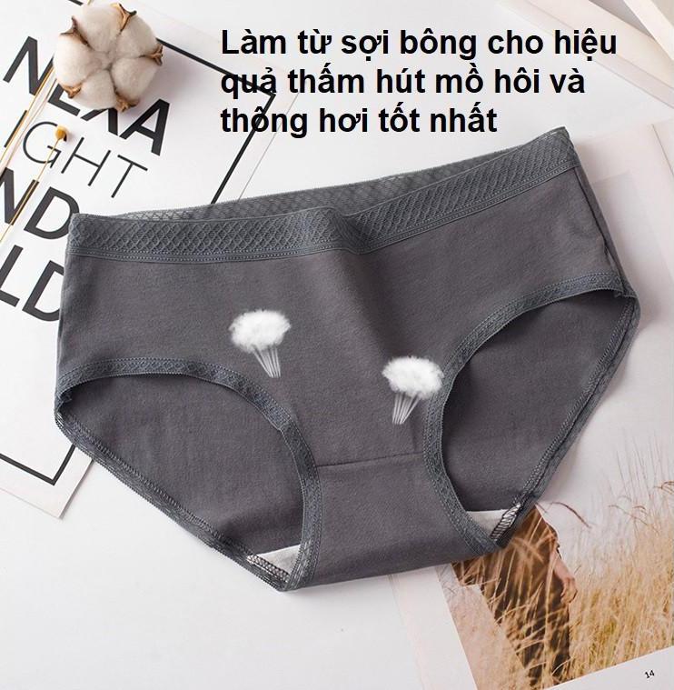 Combo 3 Quần lót cotton viền ren sexy quyến rũ thấm hút mồ hôi QC48 - giao màu ngẫu nhiên