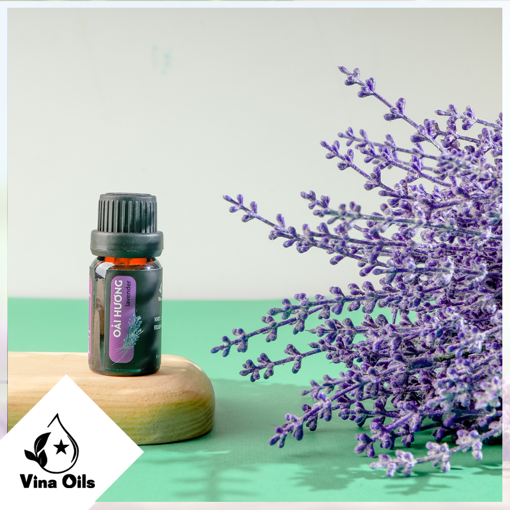 Tinh Dầu Oải Hương Vina Oils 10ml - Lavender Essential Oil 10ml - Chiết Xuất Từ Hoa - Hương Thơm Hơi The Và Ngọt, Vương Mùi Thảo Mộc, Giúp Trẻ Hóa Làn Da, Giảm Trầm Cảm, Kiểm Soát Huyết Áp, Tốt Cho Hệ Tuần Hoàn Máu