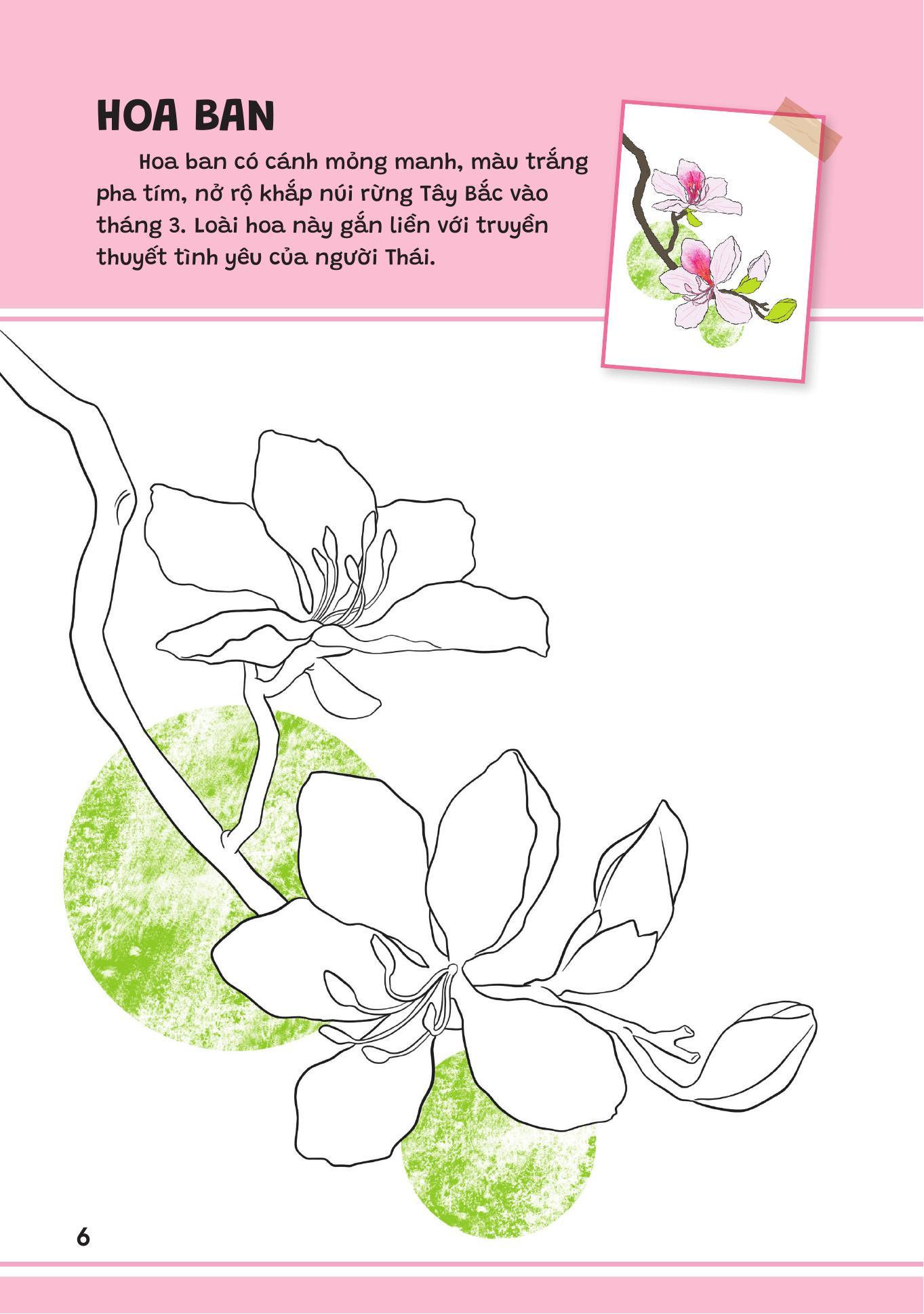 Sách - Yêu Quá Việt Nam - Các Loài Hoa