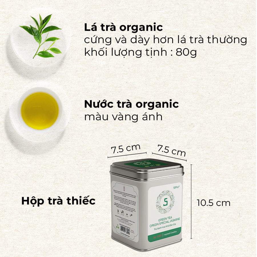 Trà xanh hoa nhài SACHS TEA 1773 ướp thủ công bởi nghệ nhân vị thơm ngọt hậu kéo dài hộp thiếc cao cấp 70g/hộp