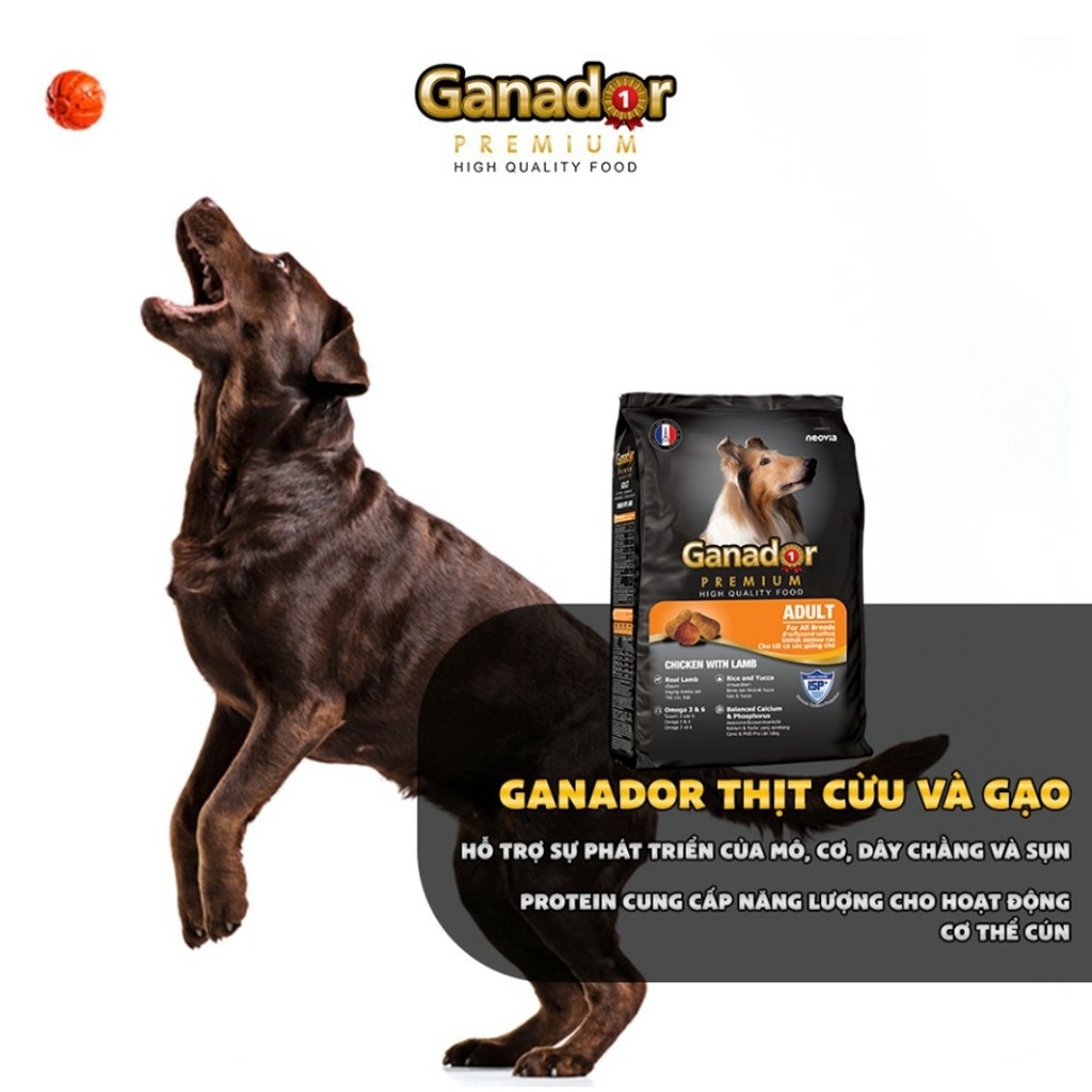 Thức ăn Ganador cho chó trưởng thành vị thịt cừu &amp; gạo Lamb &amp; Rice gói 400g
